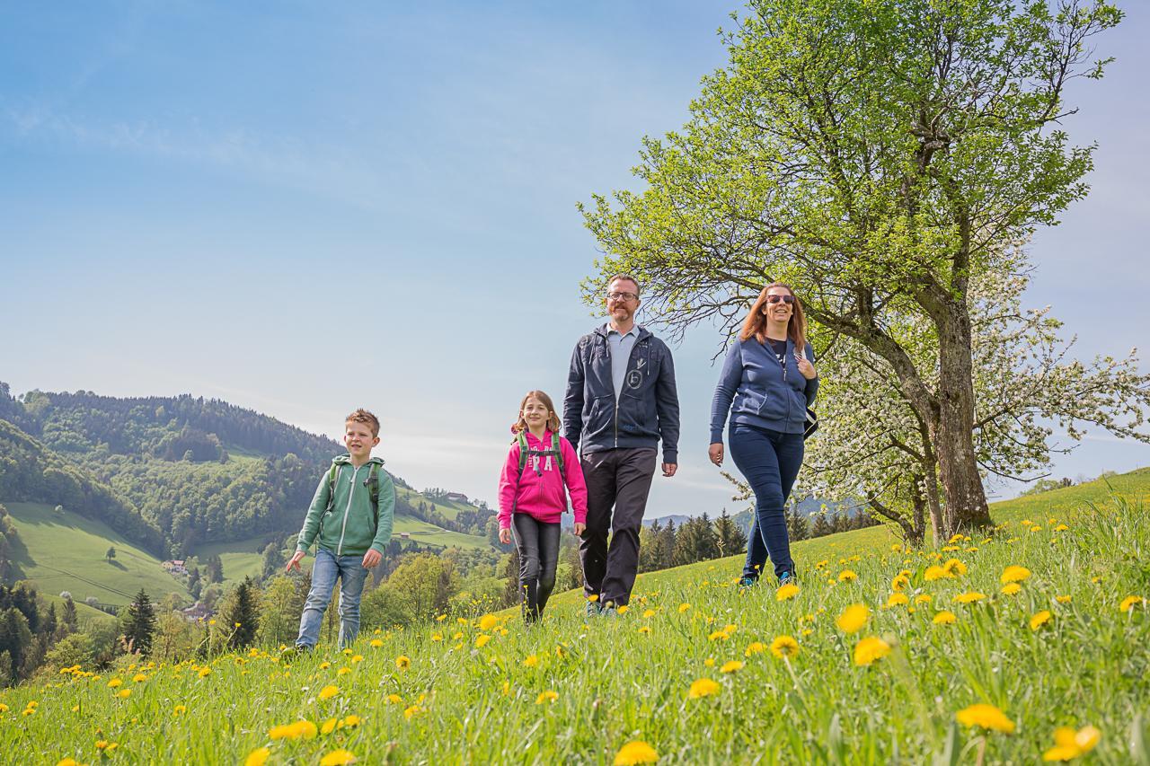 Ferienhof Pfaffenlehen Maria Neustift Dış mekan fotoğraf
