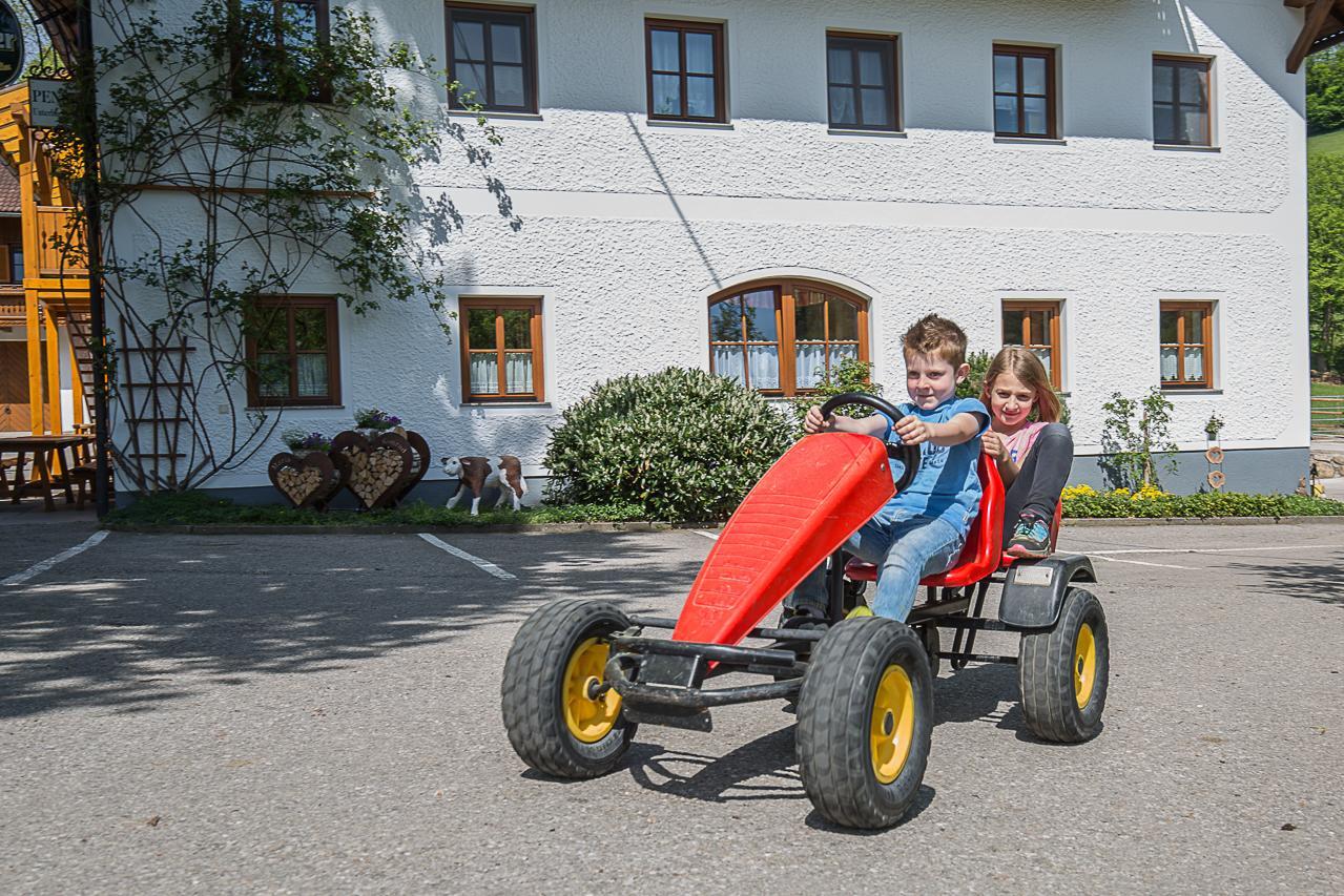 Ferienhof Pfaffenlehen Maria Neustift Dış mekan fotoğraf